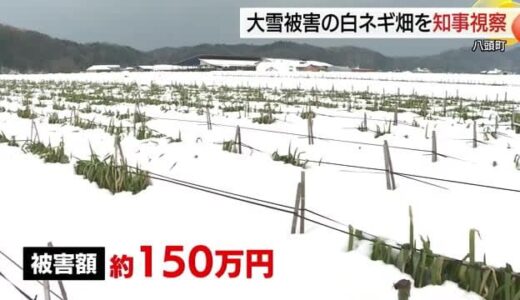 被害額は約150万円　大雪で埋もれた白ネギ畑を平井知事が視察　農家の支援を約束（鳥取・八頭町）