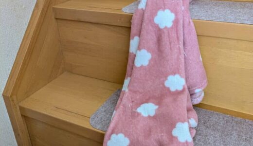 犯ニャンは誰だ？最近家のあちこちに落ちているブランケットの理由とは？【猫の日投稿企画】
