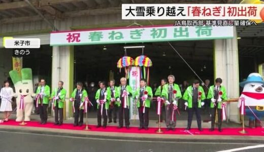 「甘みのあるおいしい仕上がり」大雪被害乗り越えた特産「白ネギ（春ネギ）」出荷式（鳥取・米子市）