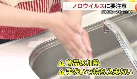 「アルコール消毒は効果薄」相次ぐノロウイルスによる食中毒　「手洗い」や「塩素系漂白剤」など徹底対策を