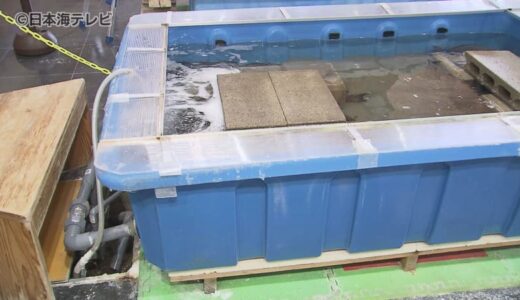 「海水が漏れる…」手作り故の悩み事を解決したい　入館無料の県立施設がクラウドファンディングに挑戦　「安全で清潔で楽しめるような水槽が欲しい」　鳥取県鳥取市