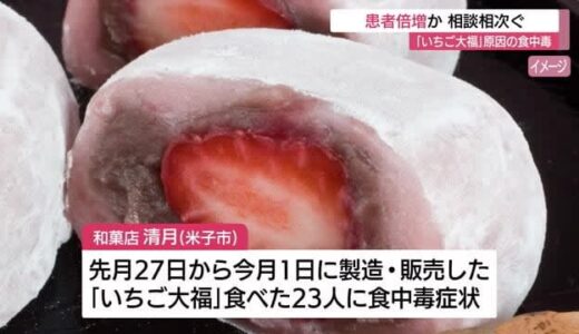 「いちご大福」食中毒で患者倍増か…保健所に相談相次ぐ「練り切り」食べた人からもノロウイルス