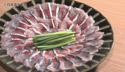 3月8日は”サバの日”　米子市の新名物「さばしゃぶ」売り出しで地元盛り上げを狙う　「さばしゃぶを食べに、米子市に人が集まってきていただければ」　鳥取県米子市