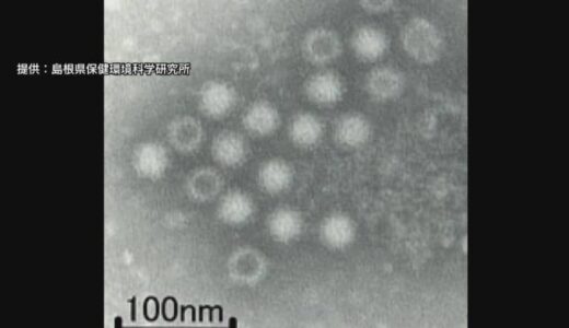 「わずかな量でも感染…」急増するノロウイルスによる食中毒「アルコール消毒は効果薄」対策の難しさ浮き彫り