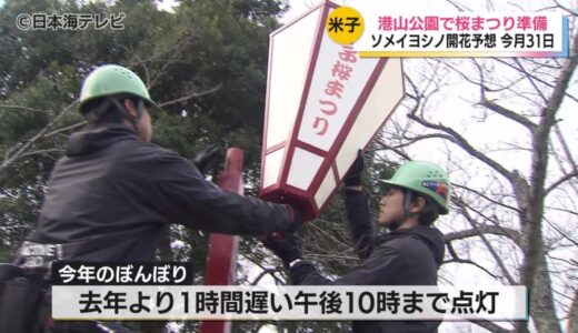 桜シーズン到来！桜まつりを前に夜桜を彩るボンボリ増設しライトアップを強化　3月28日開幕、満開は4月初旬予想　鳥取県米子市