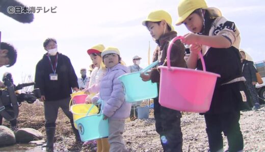 「大きくなってねー！」　地元の園児がサケの稚魚500匹を日野川に放流　鳥取県米子市
