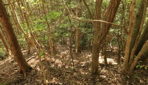 戦国の山城を攻める！　山陰の知られざる名城「周布城・前編」不可解な堀切、そそり立つ切岸… その先には！？