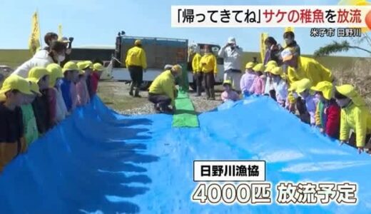 「大きくなったらまた会いたいな」園児が日野川にサケの稚魚放流「自然を大切にする心育んで」（鳥取）