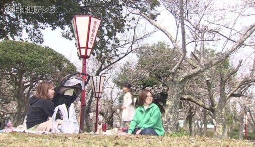 春到来！各地で花見を楽しむ人々が　河津桜の丘ではようやく満開　湊山公園では米子桜まつりが開催　全体的にはまだ3分咲き　鳥取県