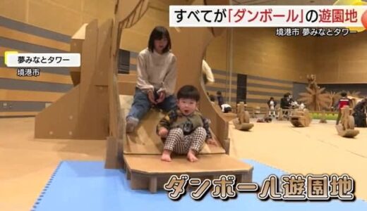 ユニーク「ダンボール遊園地」恐竜かたどった滑り台などに子供が歓声！来場1万人達成（鳥取）