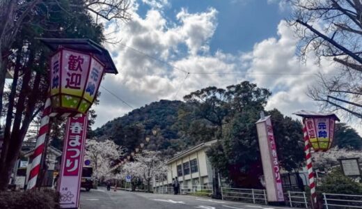 旧小学校にある桜のアーチや屋台も出る桜祭り会場も！鳥取県中部の桜開花状況リポート！｜倉吉市・湯梨浜町