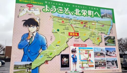 鳥取県の「コナン通り」に毛利蘭と鈴木園子の新オブジェ登場！中国ネット「行きたい」「友情に感動」