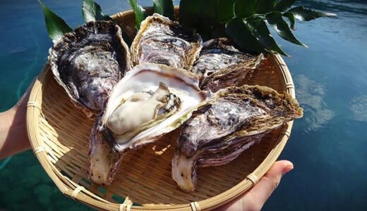 島根県 隠岐の島旅で味わえる 岩牡蠣 いわがき はいまが旬！ オイスターマニアも「絶対に訪れたい地」という隠岐の“島ごはん”を体感するならいまだ！