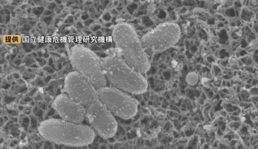 「百日せき」増加傾向…乳児の重症化に注意　対策は?「日中になかなか止まらない、夜間強くなるのが特徴の1つ」